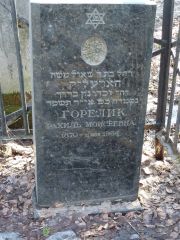 Горелик Рахиль Моисеевна, Москва, Востряковское кладбище